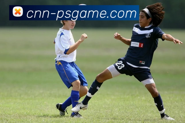 PS电子模拟器官网品牌故事