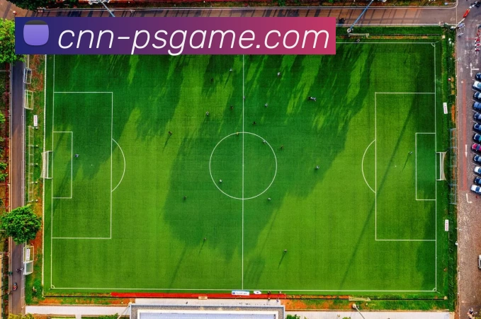 PS电子模拟器官网服务体系